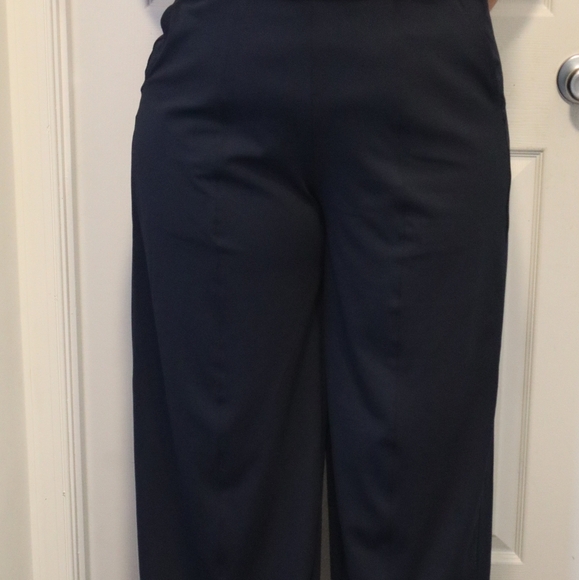 Elegant Navy Women's Pants - Picture 1 of 10